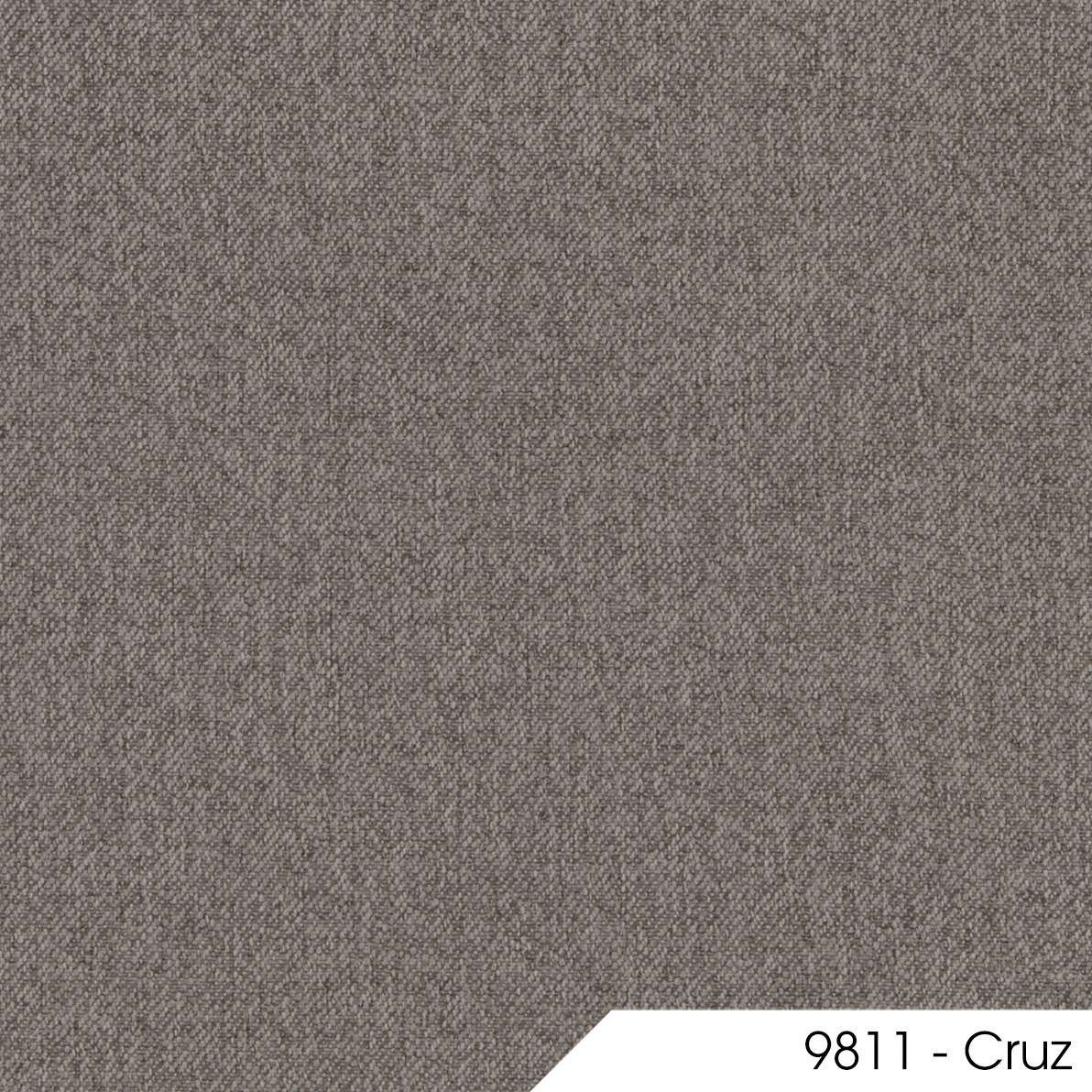 Cruz 9811 1