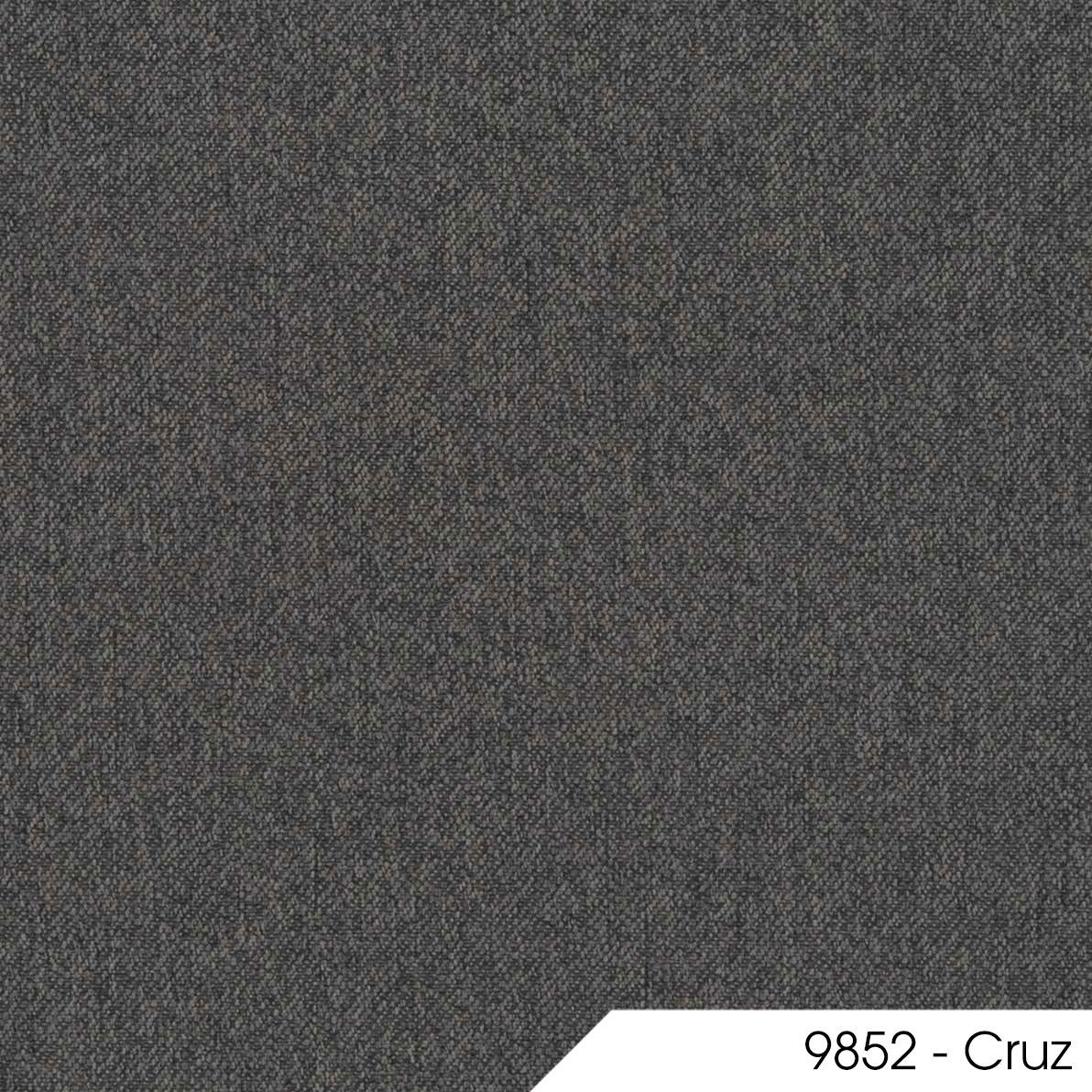Cruz 9852 1