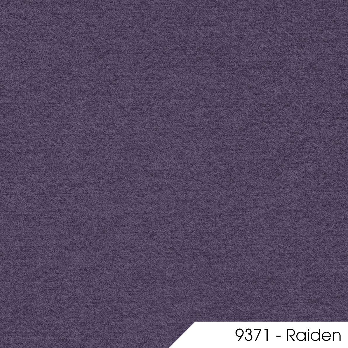 Raiden 9371 1
