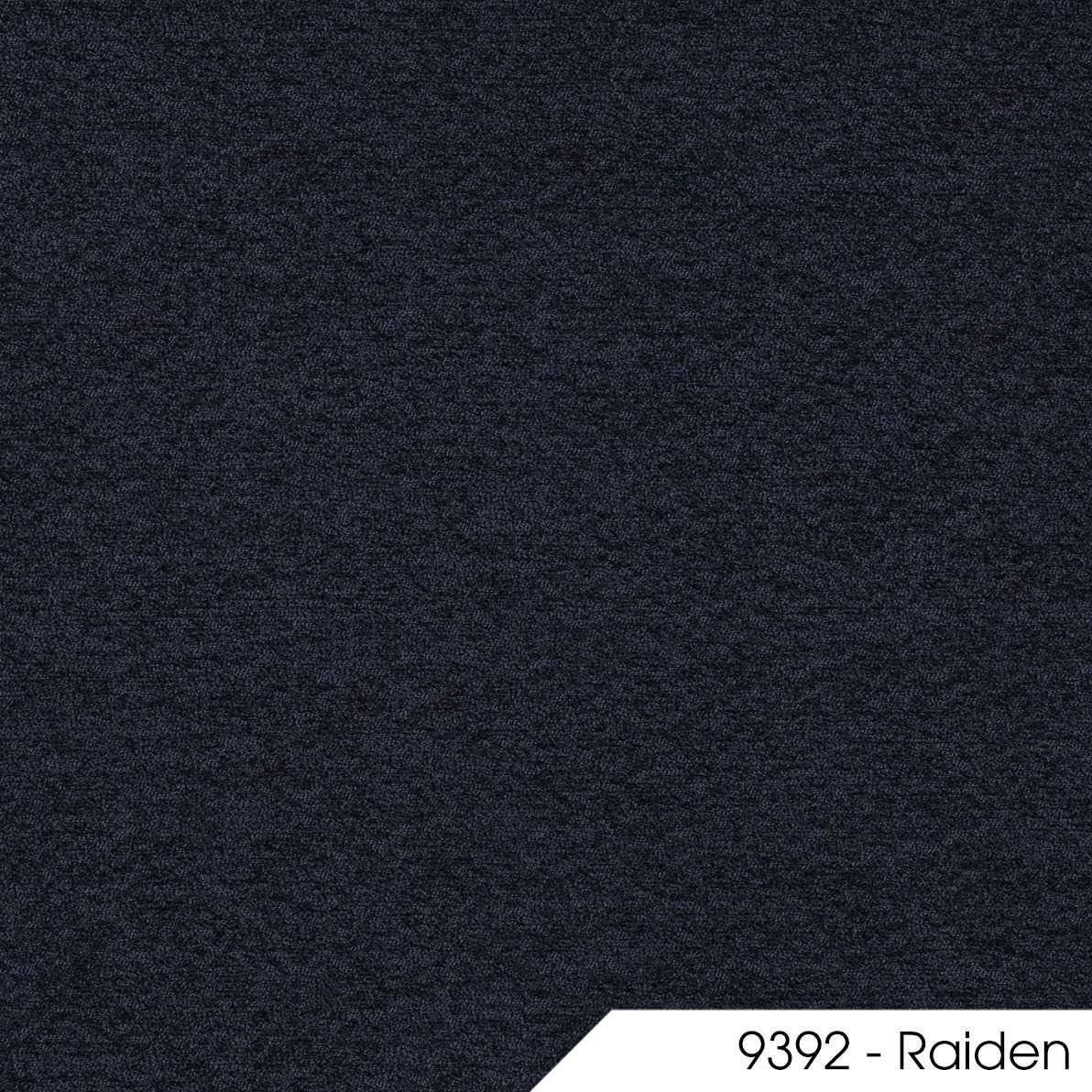 Raiden 9392 1
