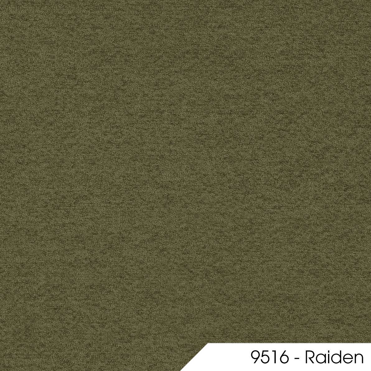 Raiden 9516 1