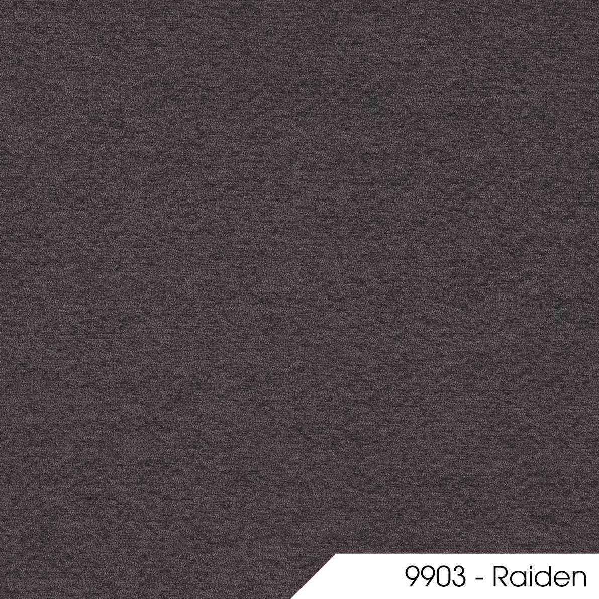Raiden 9903 1