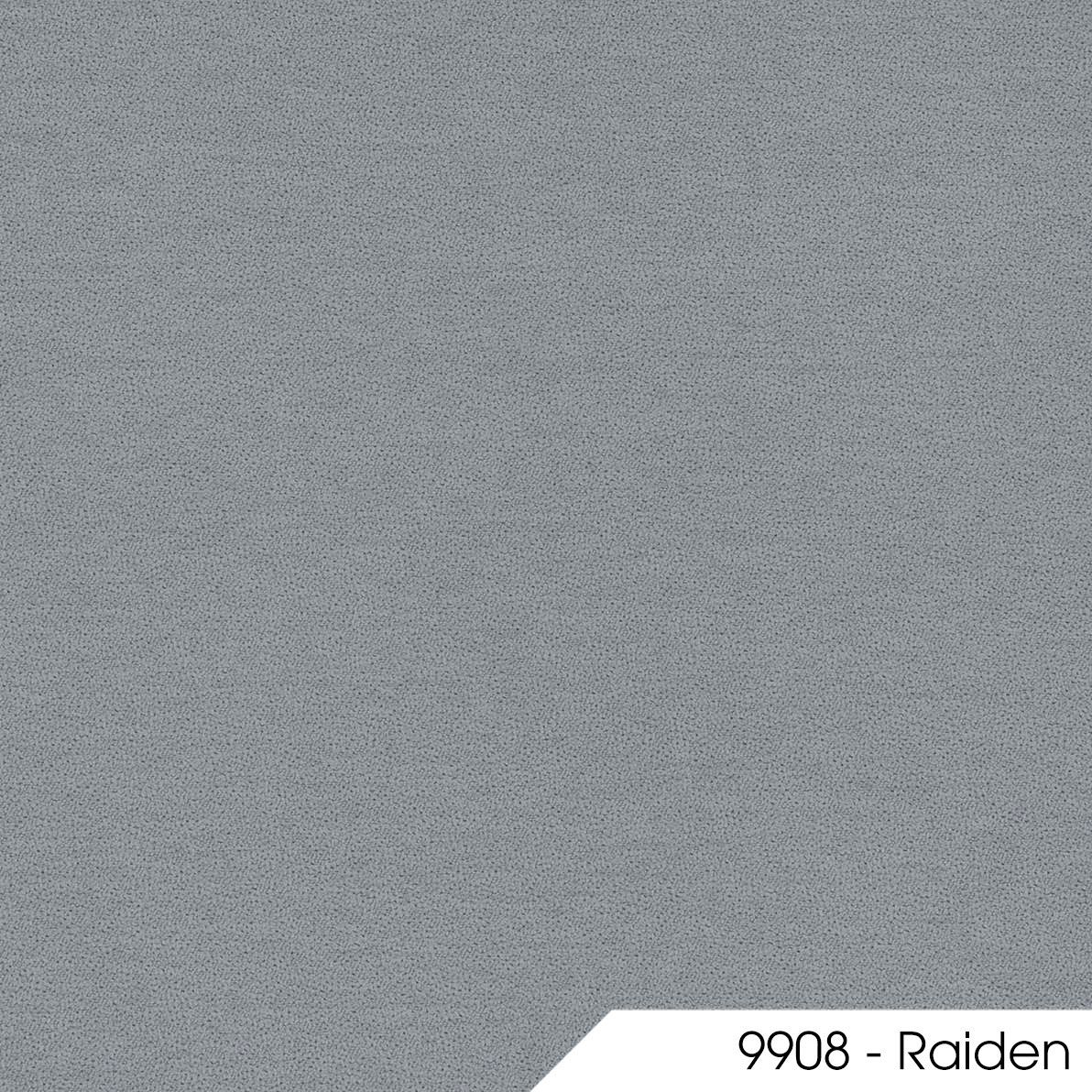 Raiden 9908 1